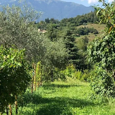 Apartamento Casa Bembo Asolo